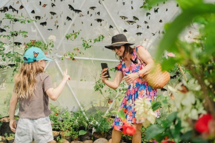 Nuanu Creative City Celebrates Nature with 5,000 Butterflies