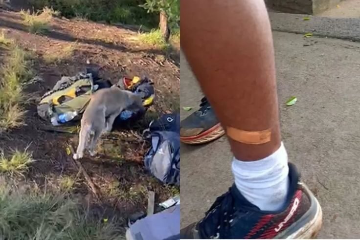 15 Pendaki Gunung Batukaru Digigit Anjing Liar langsung ditangani Dinkes setempat.