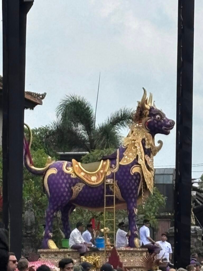 Lembu tangi menjadi sarana pelebon Cok Niti di Puri Agung Ubud.