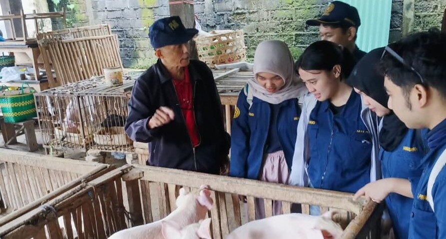 Drh. Arya Dharma mengecek ternak di Gianyar.