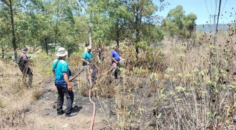 Kebakaran hutan di Kintamani dipadamkan petugas gabungan.