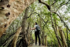 Tourism Snapshot yang menyoroti transisi menuju pariwisata hijau di Indonesia. (Foto: Dok Kemenpar)