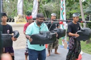 Wisatawan turut mengikuti latihan terbuka atraksi budaya okokan dan tektekan di kawasan DTW Tanah Lot, Tabanan.