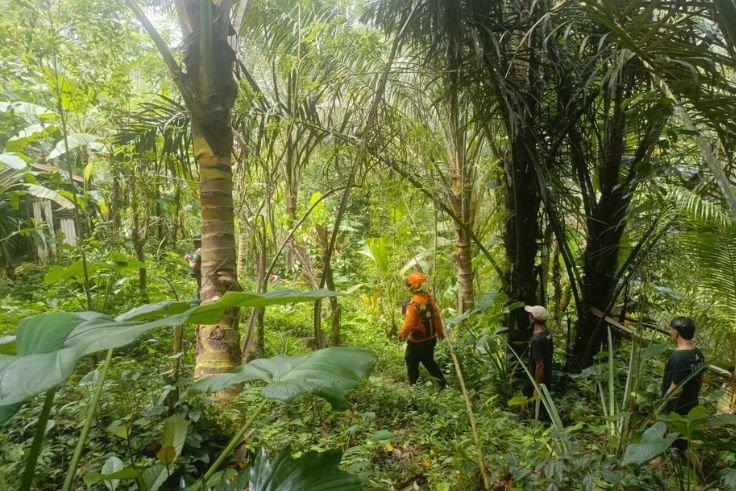Tim SAR gabungan menyisir jalur kebun di Desa Sangkan Gunung, Sidemen.