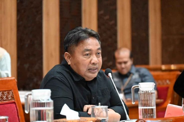 Anggota DPR RI, Nyoman Parta.