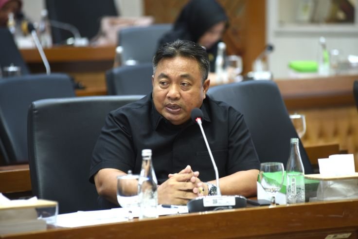 Anggota Baleg DPR RI, Nyoman Parta.