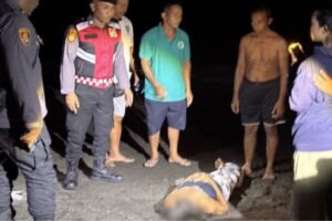 Petugas mengevakuasi jenazah lansia yang ditemukan meninggal dunia di kawasan Pantai Biaung, Denpasar Timur, Minggu (10/5/2026) malam.