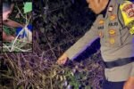 bayi perempuan ditemukan menangis di semak-semak kawasan Jalan Goa Betel, Jimbaran, Kuta Selatan, Badung.