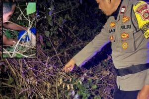 bayi perempuan ditemukan menangis di semak-semak kawasan Jalan Goa Betel, Jimbaran, Kuta Selatan, Badung.