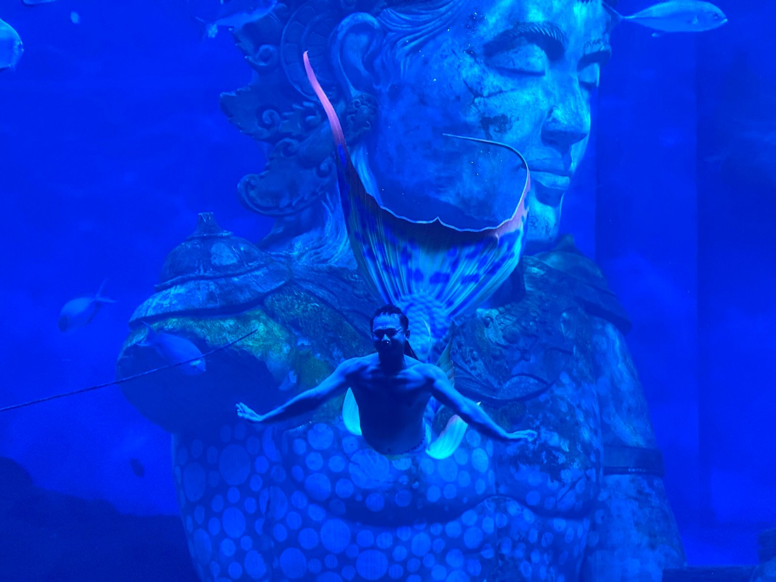 Talent mermaid dari berbagai negara tampil di acara The Greatest Showcase, Senin (29/6).