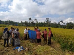 Subak Timbul Tegalalang memikat Jepang untuk bekerjasama.