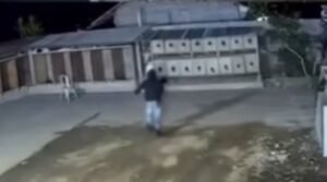 Pencuri ayam inisial KD saat beraksi di Juwuk Legi Baturiti melengkapi diri dengan senjata tajam dan ketapel.