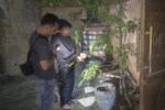 Pelaku FB (20) saat diamankan di Polsek Kuta Selatan usai diduga melakukan penganiayaan menggunakan botol kaca.