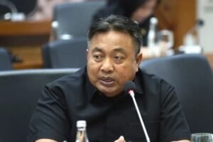 Anggota Komisi III DPR RI Fraksi PDI Perjuangan, I Nyoman Parta.