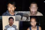 Empat warga diamankan polisi setelah diduga memburu dan menyembelih tapir yang melintas di Jalan Register 45, Mesuji, Lampung.