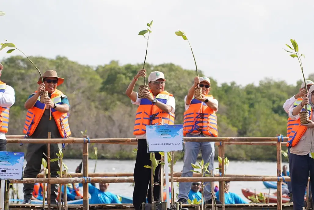 Foto Wayan Koster Menanam Mangrove di Bali
