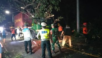Truk kontainer yang melintas di jalur Karangasem-Singaraja menabrak pohon perindang jalan.