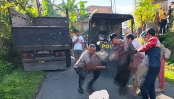 Korban lakalantas berusia 18 tahun dievakuasi.