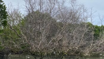 IMG-20260908-WA0025