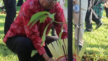Gubernur Bali, Wayan Koster, menanam pohon di Kebun Raya Gianyar serangkaian HUT Kodam Udayana.