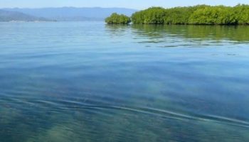 Pulau Panjang yang dipotret dari pulau Bungin Sumbawa dan diisukan dijual di situs online luar negeri. (Foto: BKSDA NTB )