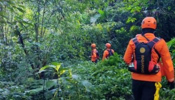 Proses pencarian 2 pendaki di Gunung Batukaru.